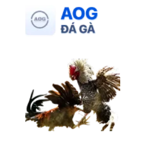 Đá Gà Trực Tuyến DK8