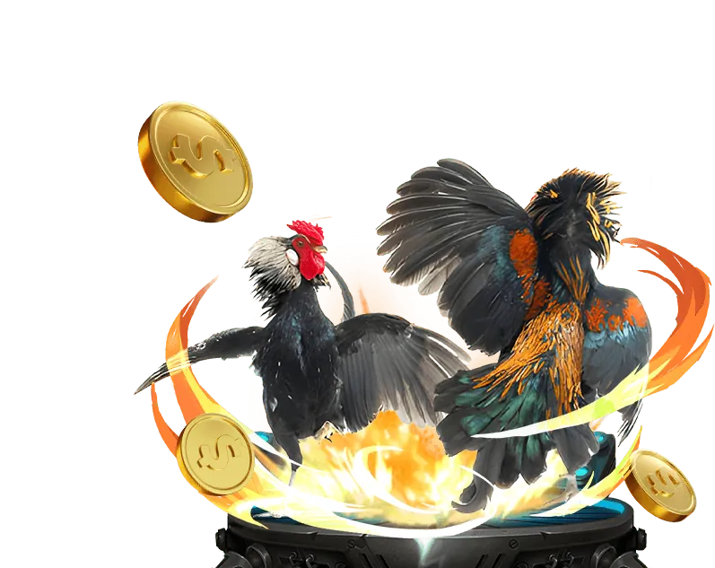 Nền tảng uy tín dk8